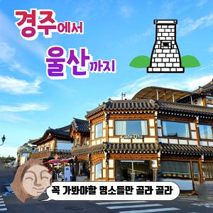 [1박2일] 경주 + 울산 핫플만 모아서 후회없는 단체여행 필수코스 (feat.전국출발)